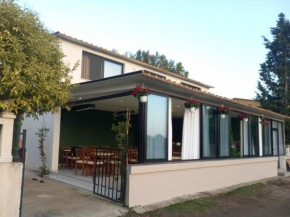 Vila Visi